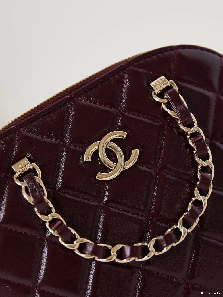 53907 Other EyeCatching Chanel Stachel Bags 0627